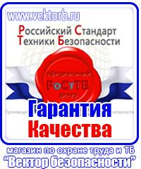 Плакаты по охране труда лестницы в Каменск-шахтинском vektorb.ru